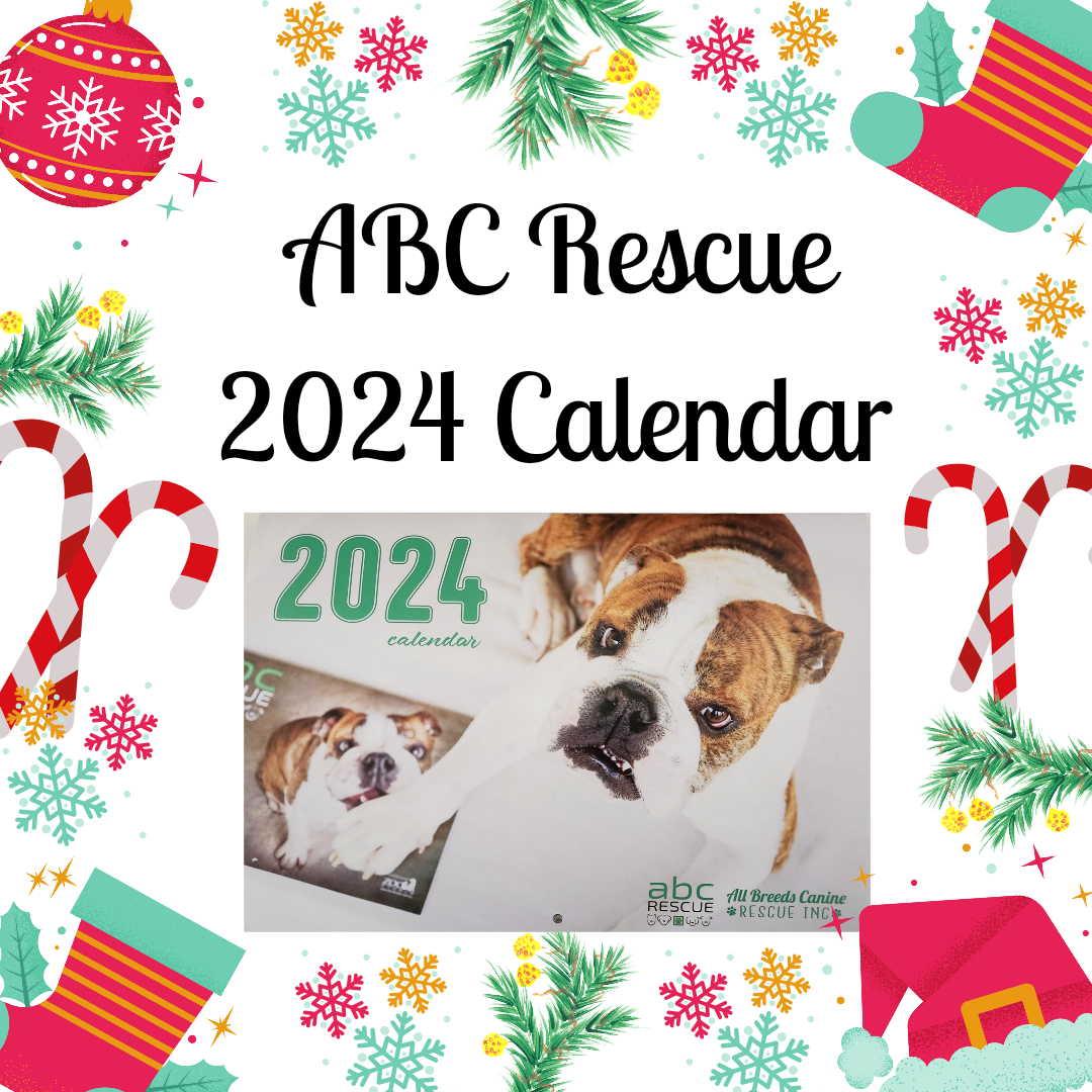 2024 Calendar All Breeds Canine Rescue