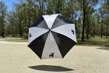Chihuahua- Umbrella