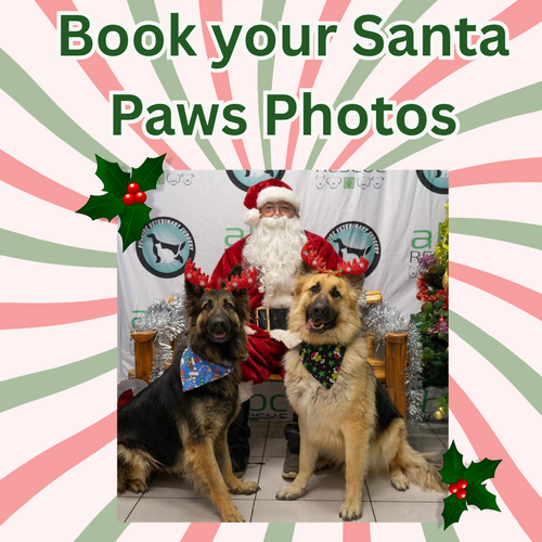 Santa Photos